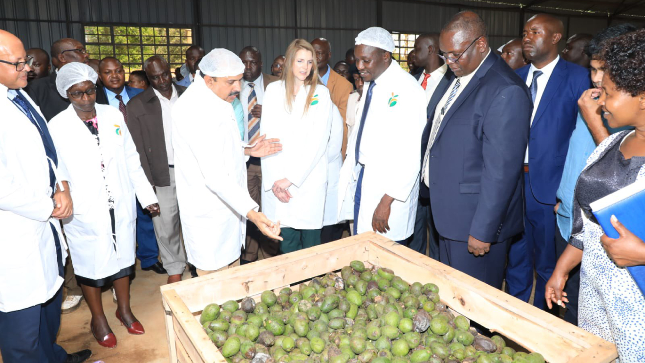 Simba Arati and Jane Marriott during the inauguration of the avocado processing plant. PHOTO/COURTESY